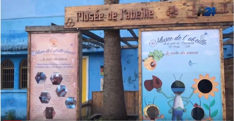Musée de l'Abeille Vivante - photo 2